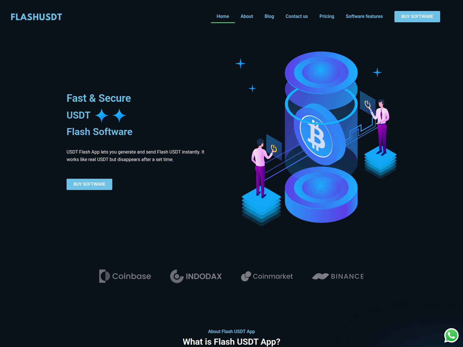 Screenshot of usdtflashapp.net