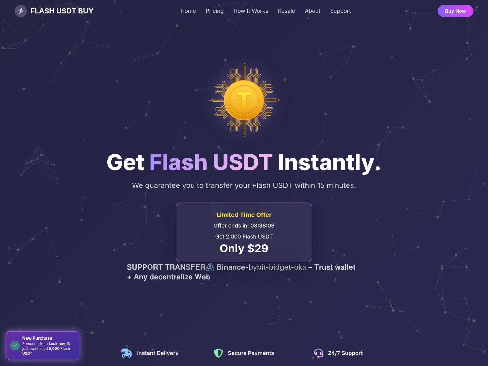 Forensic screenshot of usdtwallet.shop