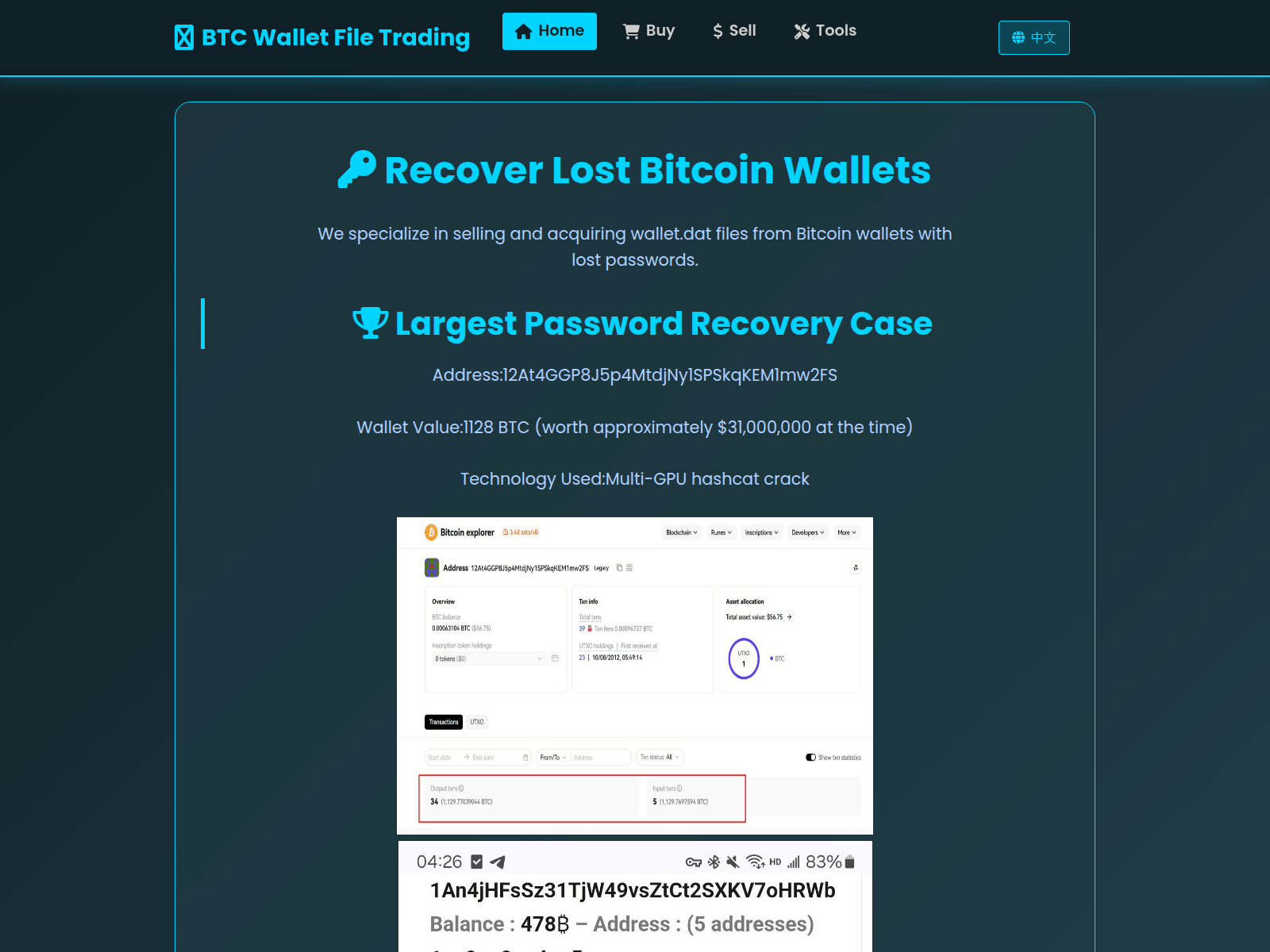 Screenshot of walletdat.cc