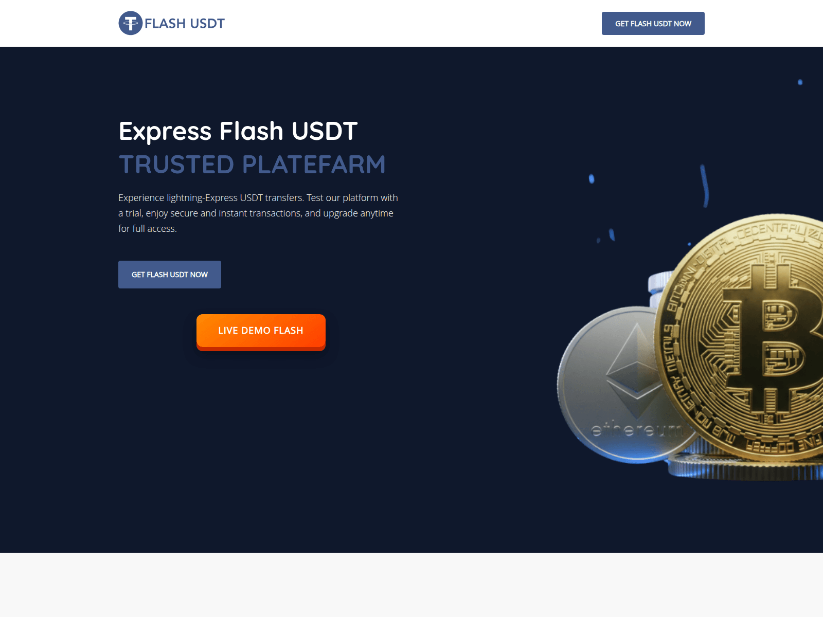 Screenshot of expressflashusdt.com