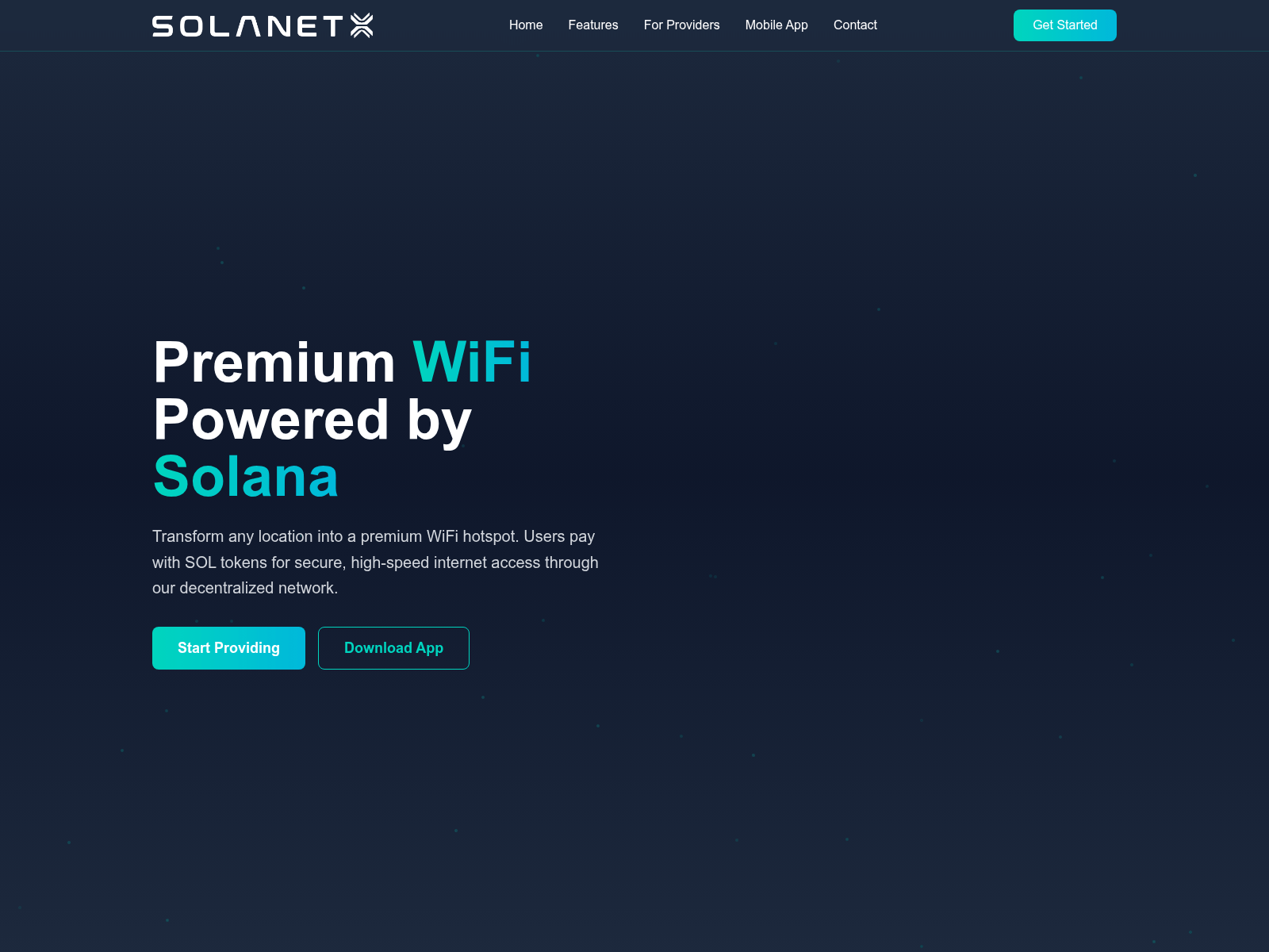 Screenshot of solanetx.com