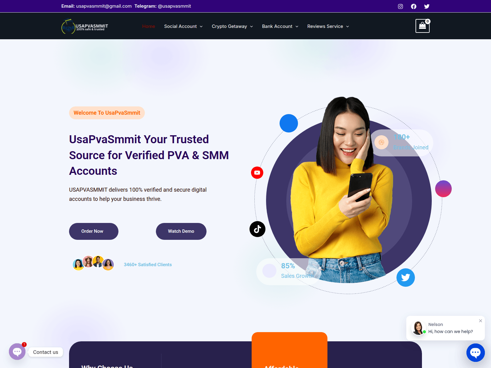 Screenshot of usapvasmmit.com