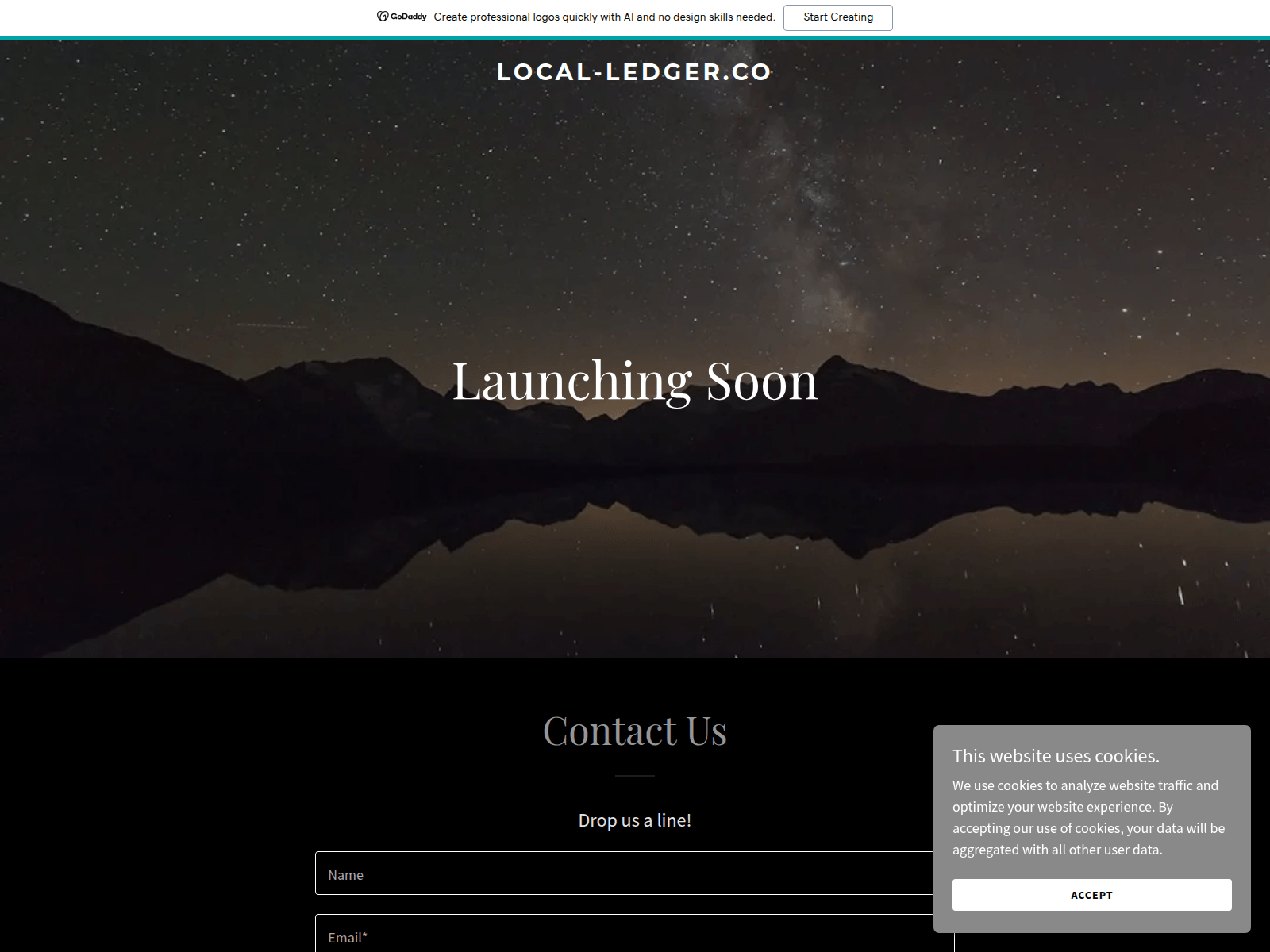 Screenshot of local-ledger.co