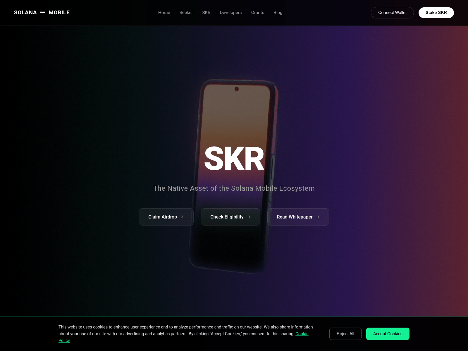 Screenshot of xn--solanambile-web.com