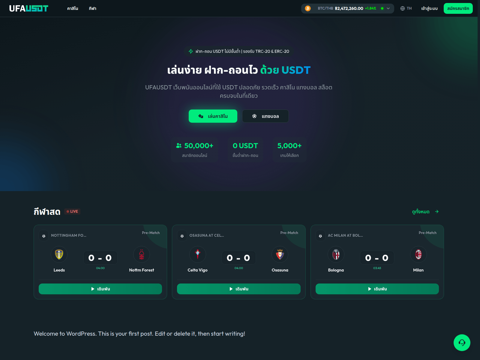 Screenshot of usdtcoinplay.com