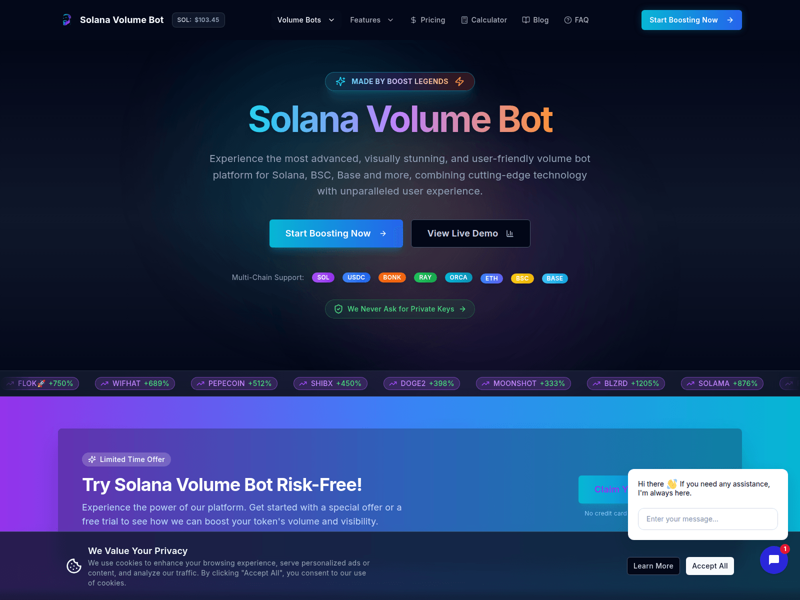 Screenshot of solanavolumebot.com
