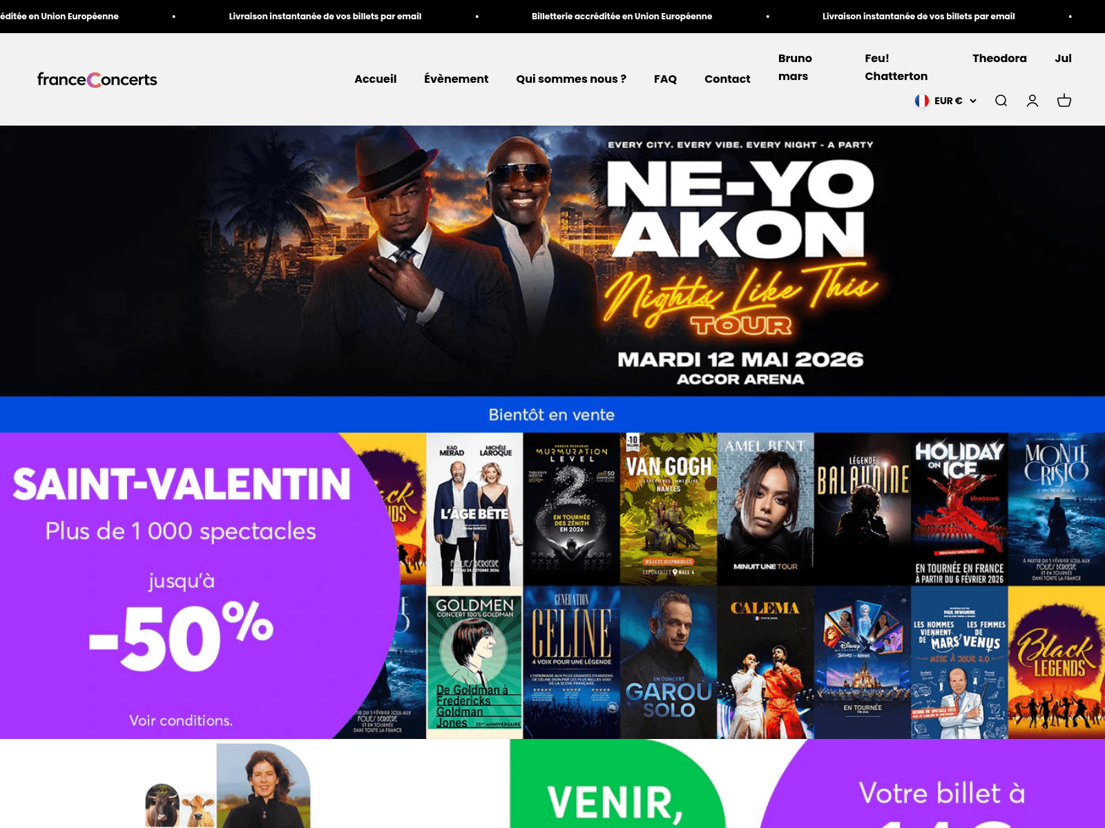 Screenshot of france-concerts.co