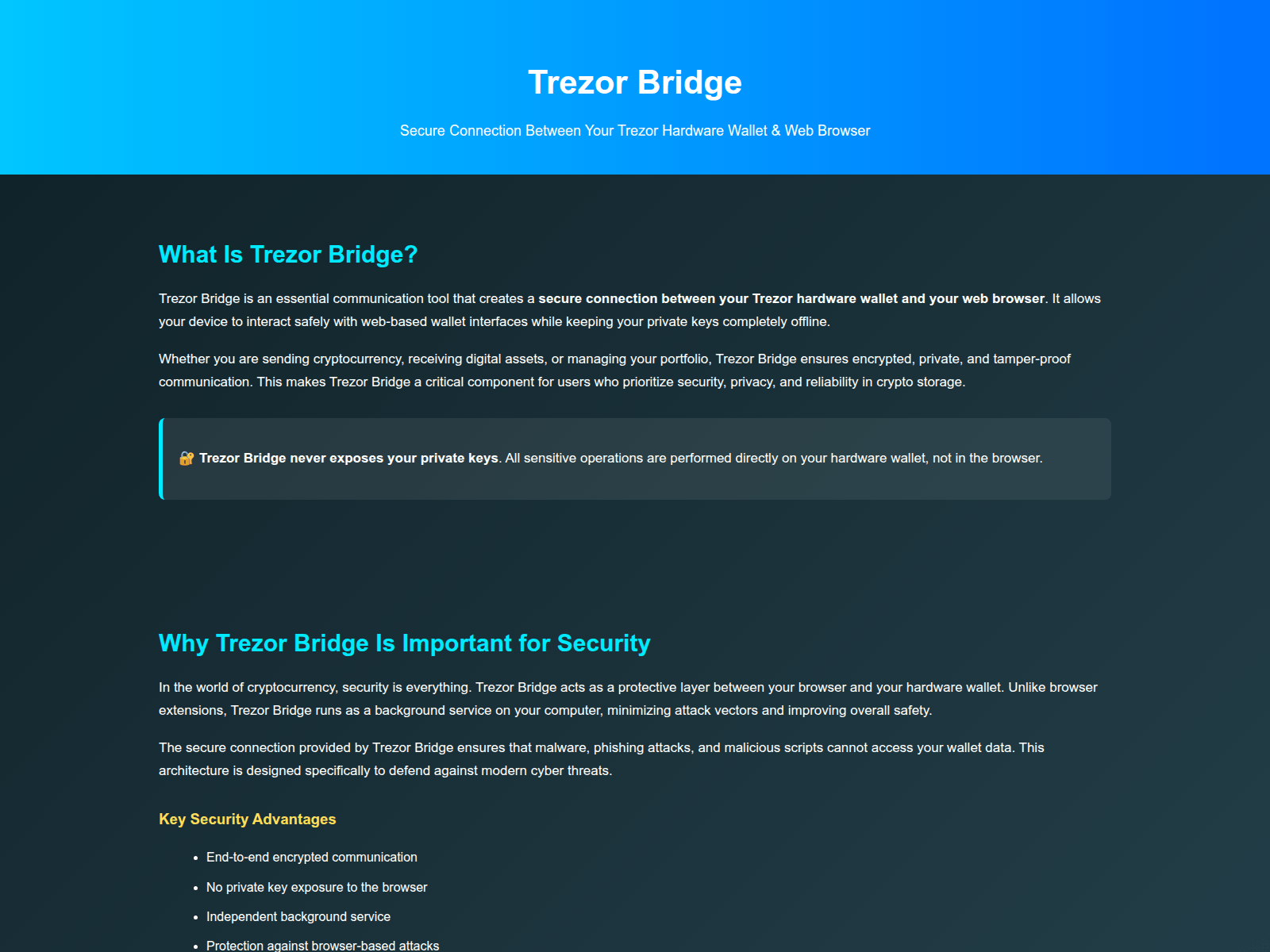 Screenshot of trzer-brige-us.wasmer.app