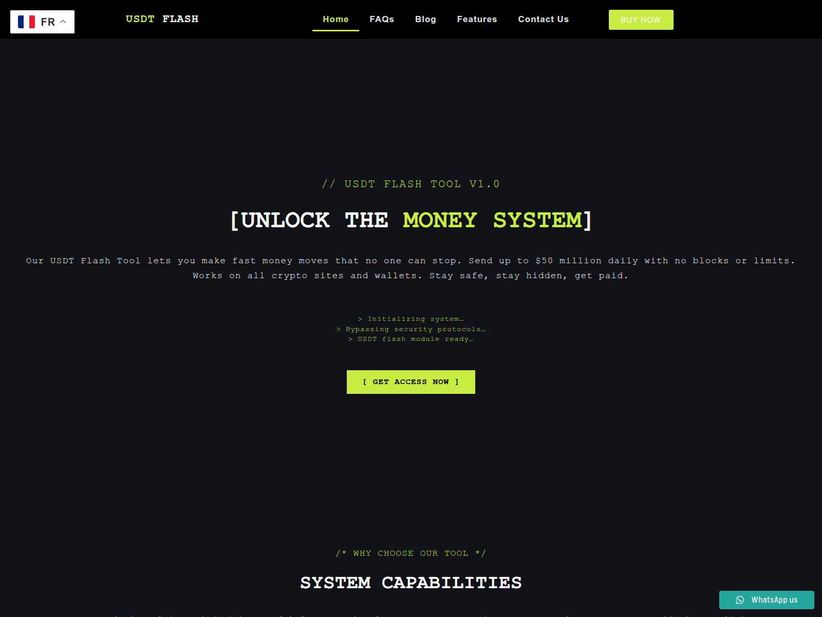 Screenshot of flashusdttether.com