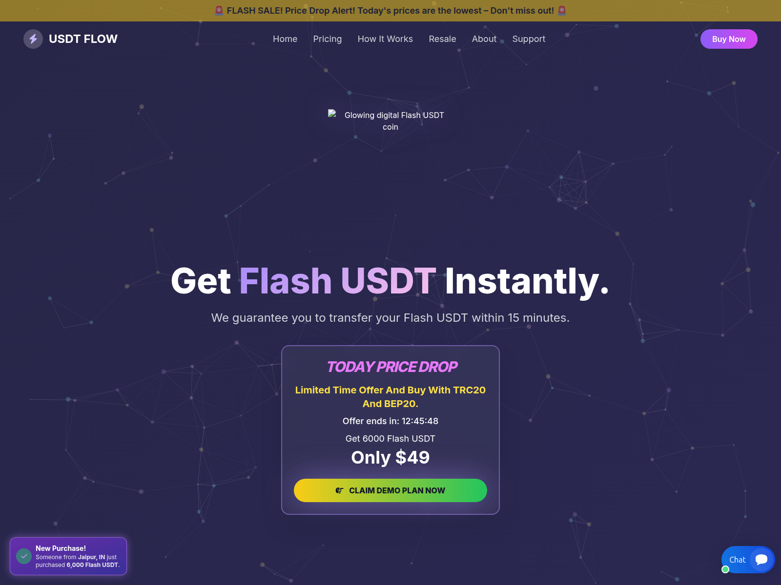 Screenshot of usdtflashsupplier.shop