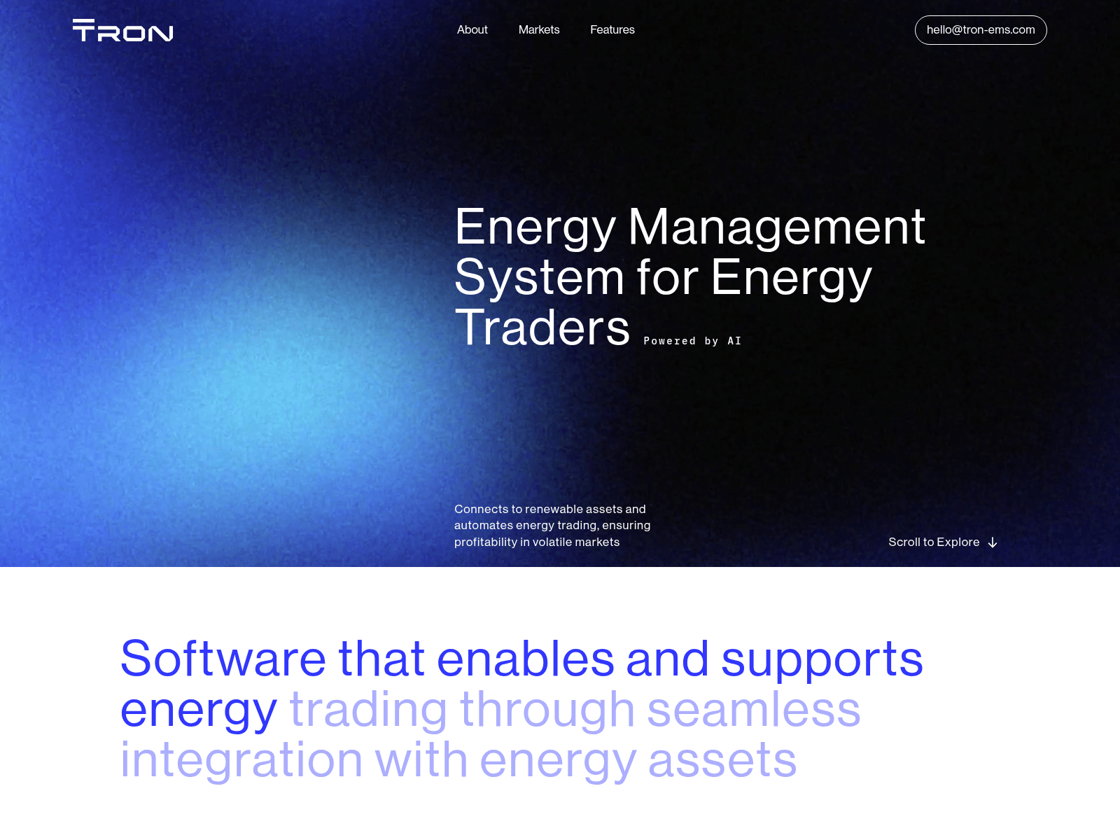 Screenshot of tron-ems.lv