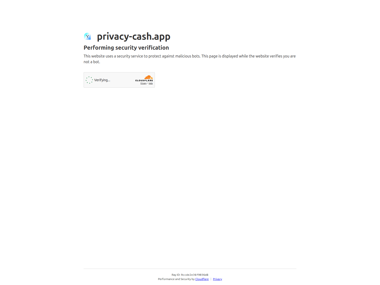 Screenshot of privacy-cash.app