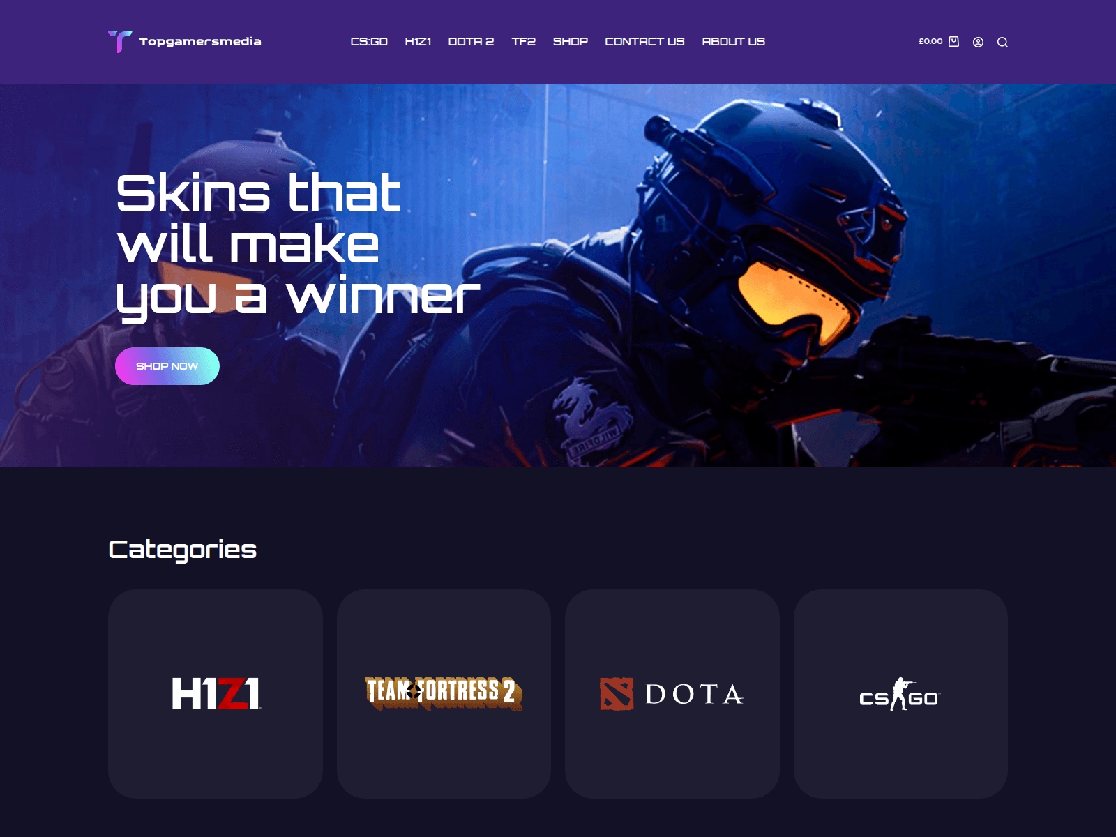 Screenshot of topgamermedia.com