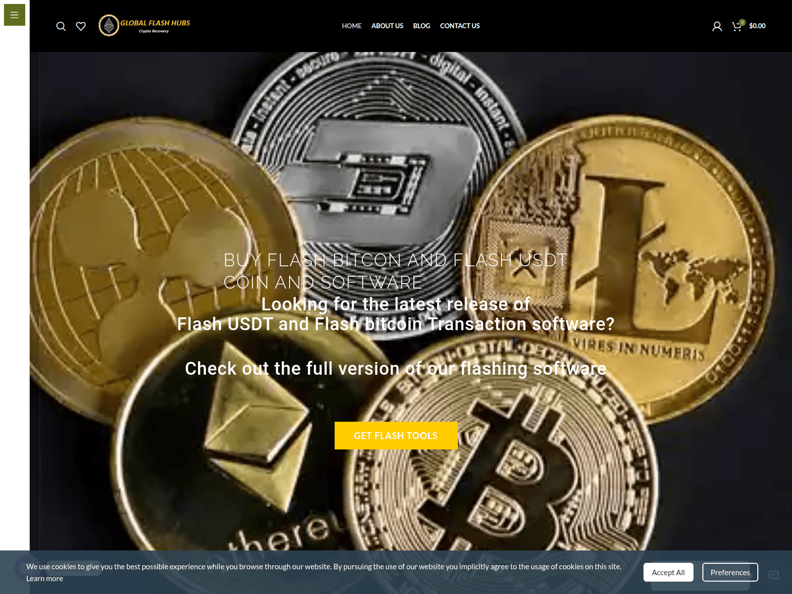Screenshot of globalflashhubs.com