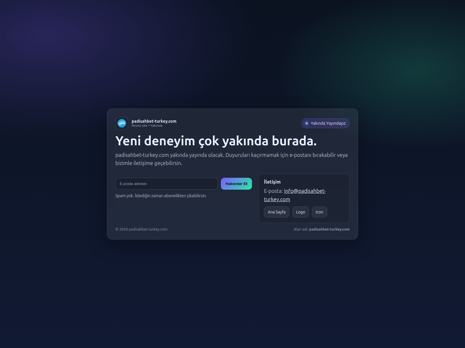 Screenshot of padisahbet-turkey.com