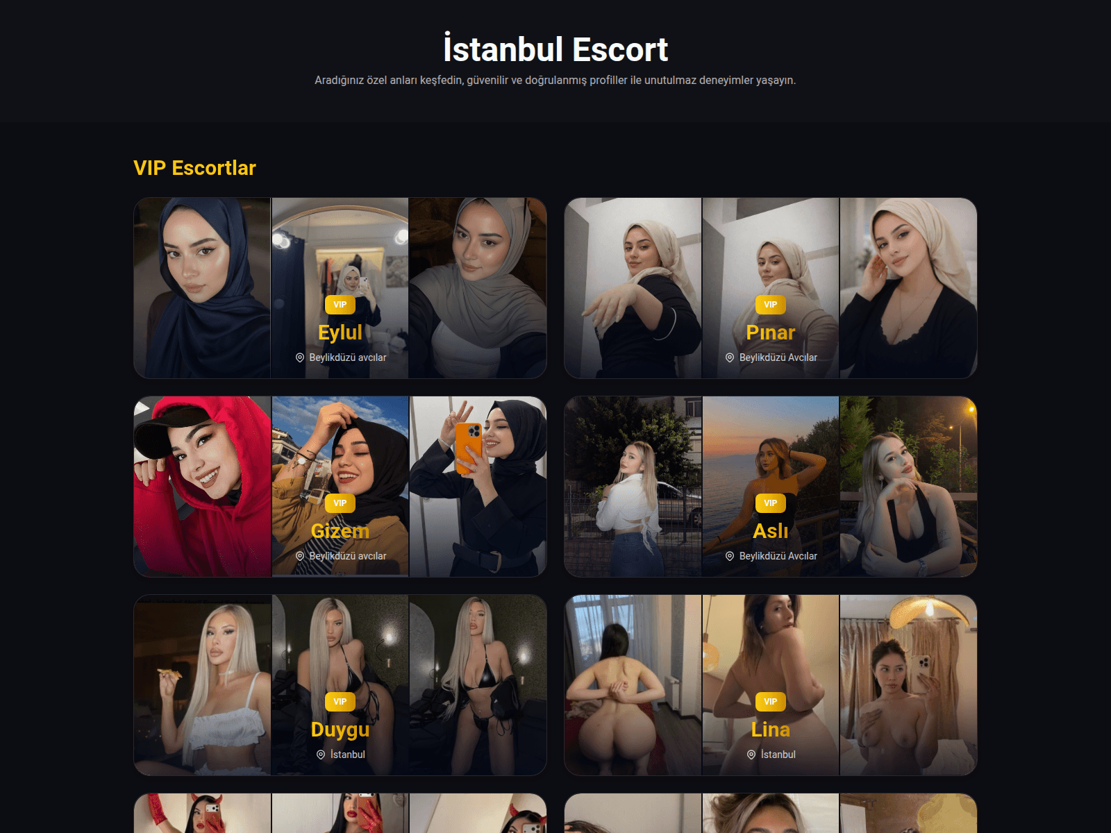 Screenshot of beylikduzuyenilik.icu