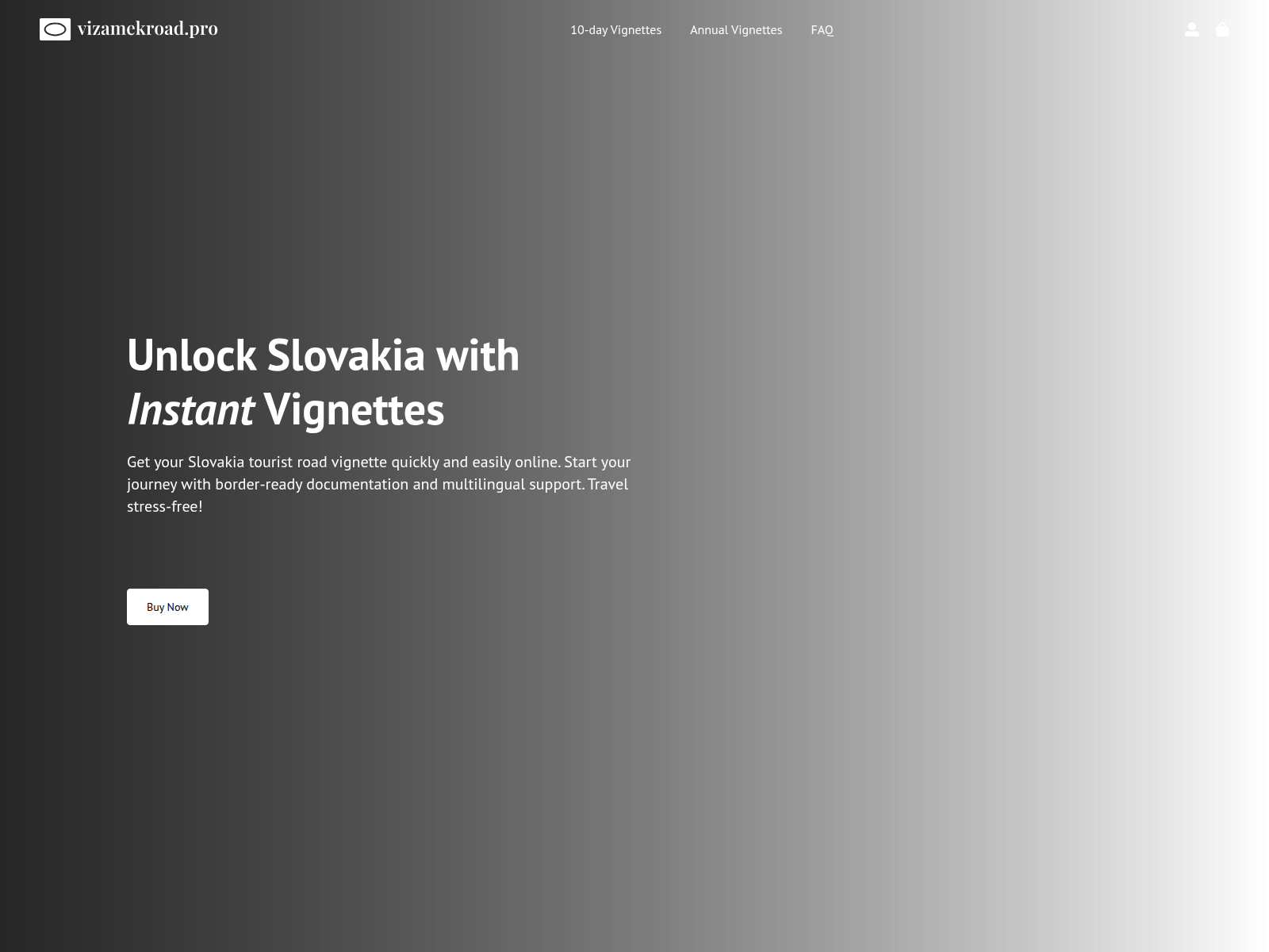 Screenshot of vizamekroad.pro