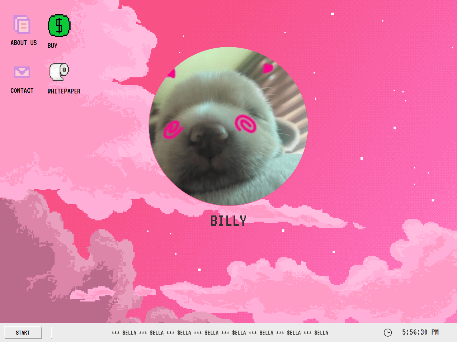 Screenshot of anonella.xyz