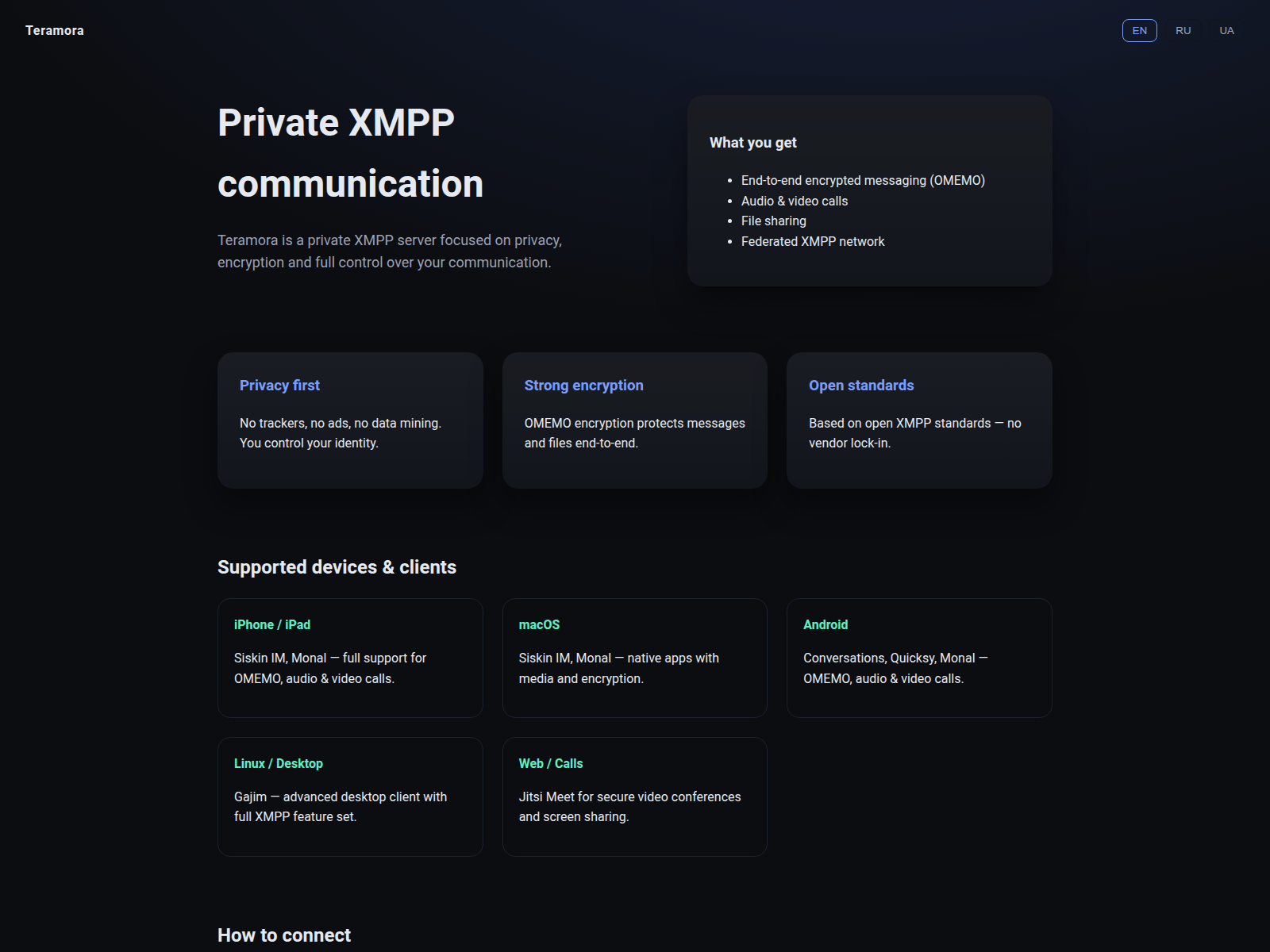 Screenshot of teramora.com