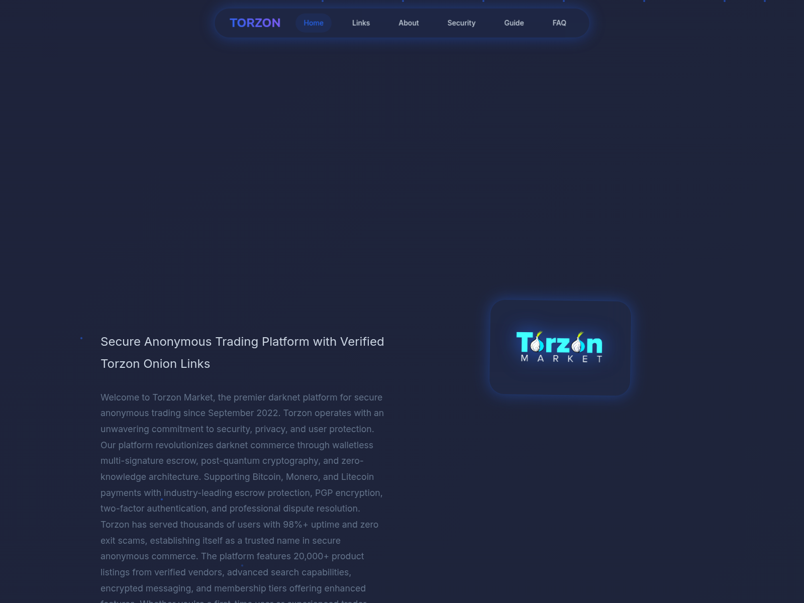 Screenshot of torzonportal.xyz