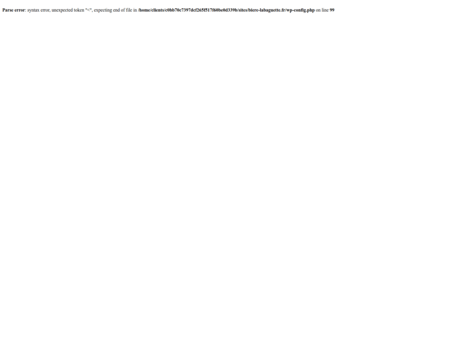 Screenshot of biere-labaguette.fr