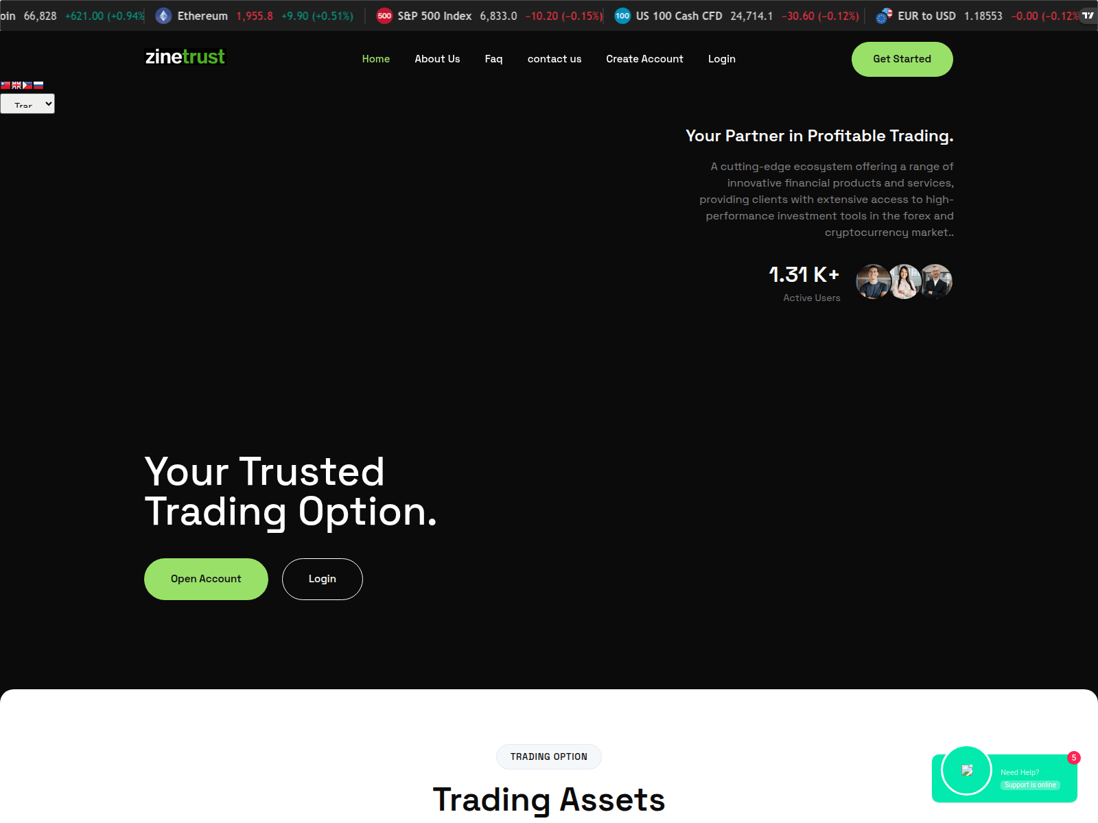Screenshot of zinetrust.com