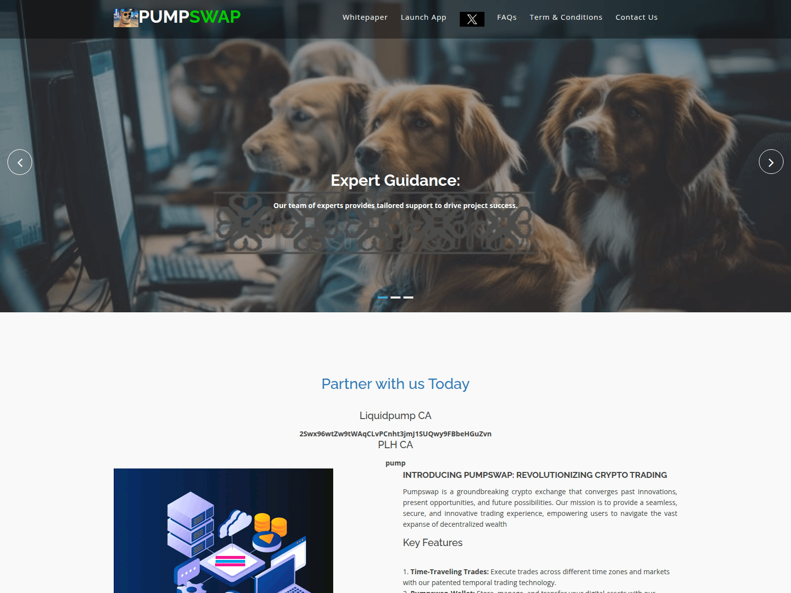 Screenshot of pumpswap.biz