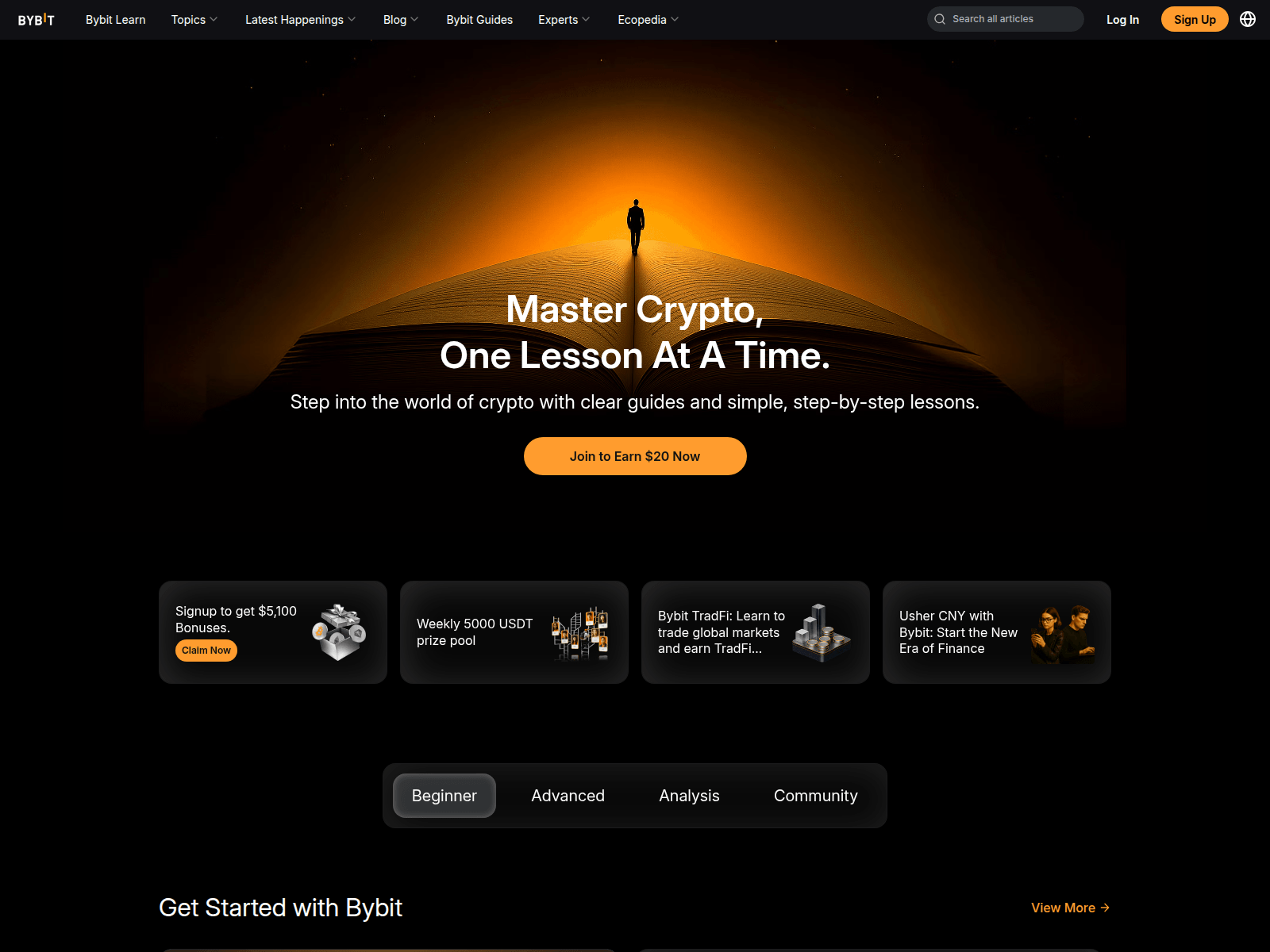 Screenshot of learn.c-by-bit.com