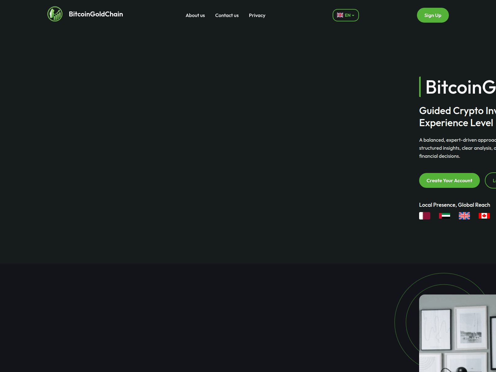 Screenshot of bitcoingoldchain.com