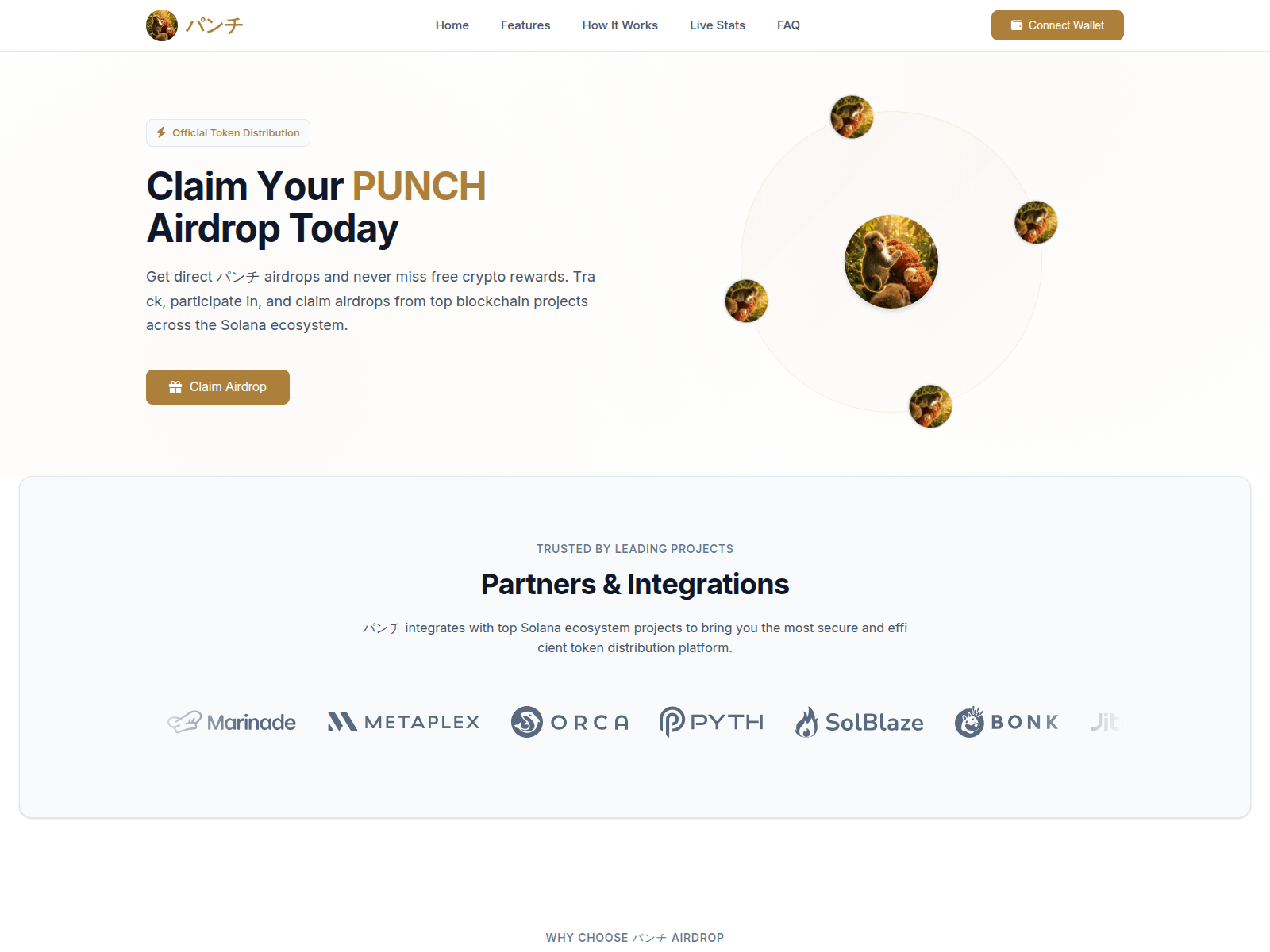 Screenshot of punchcoinsol.com