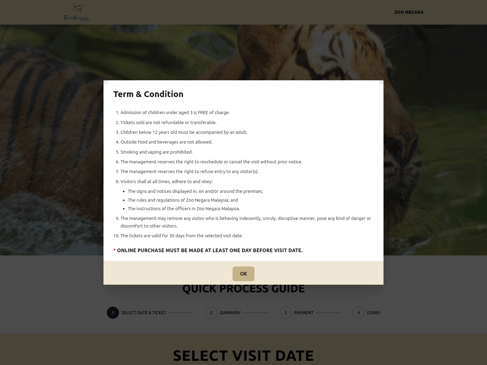 Screenshot of zoonegaramyticketsnow.com