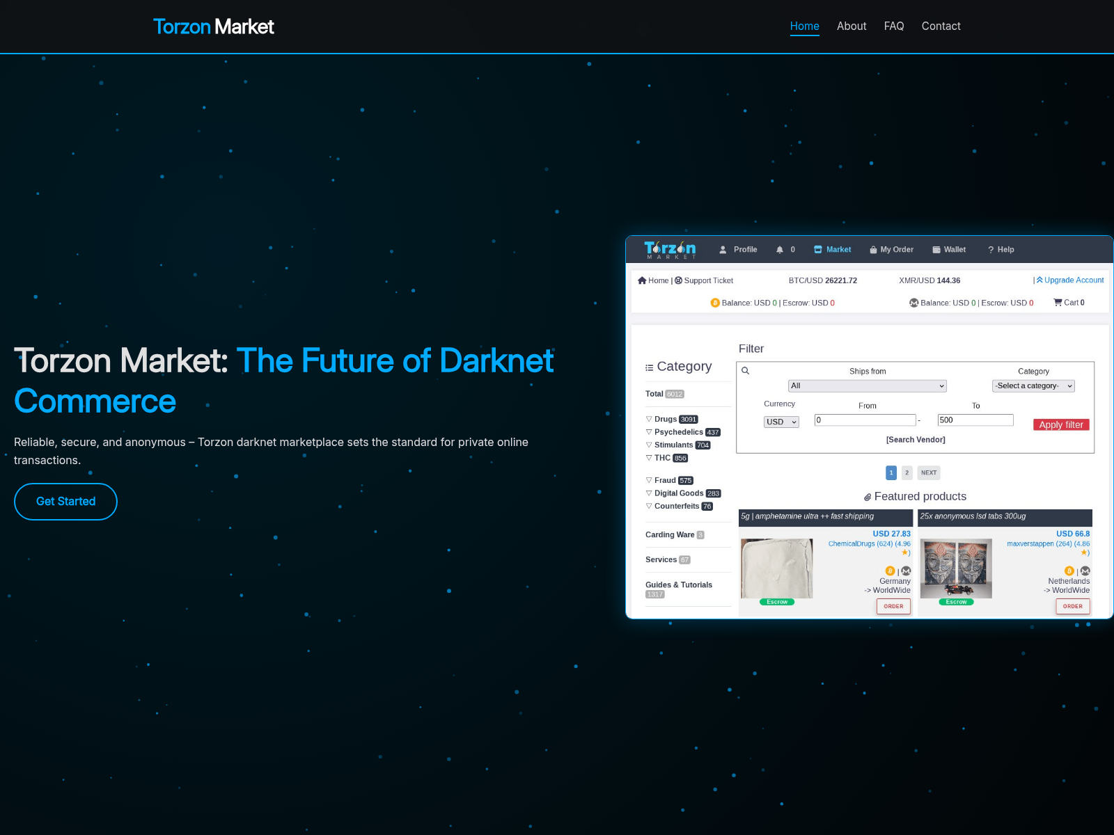 Screenshot of torzonm.com