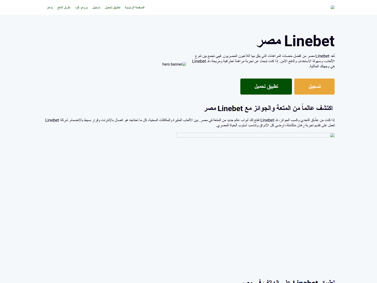 Screenshot of betlinesar.com