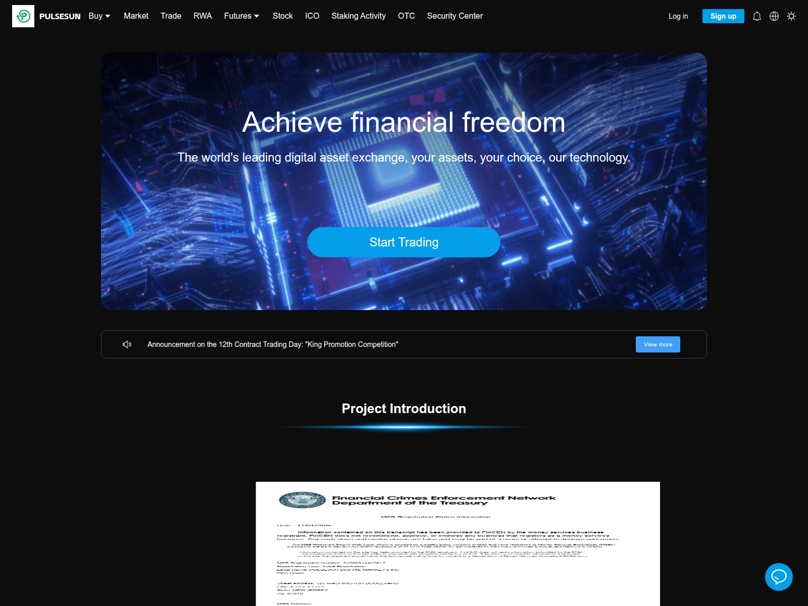 Screenshot of pulsesun.com