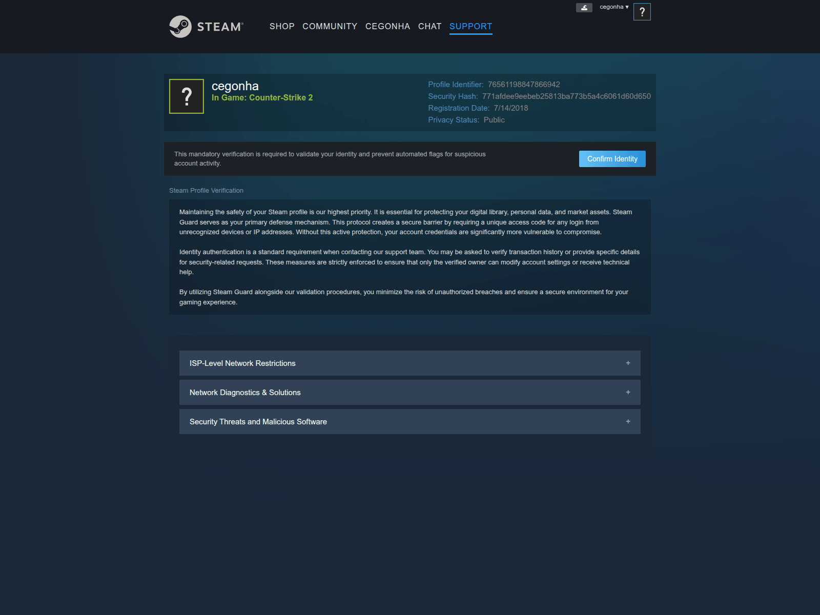 Screenshot of help.steamipconfirm.com
