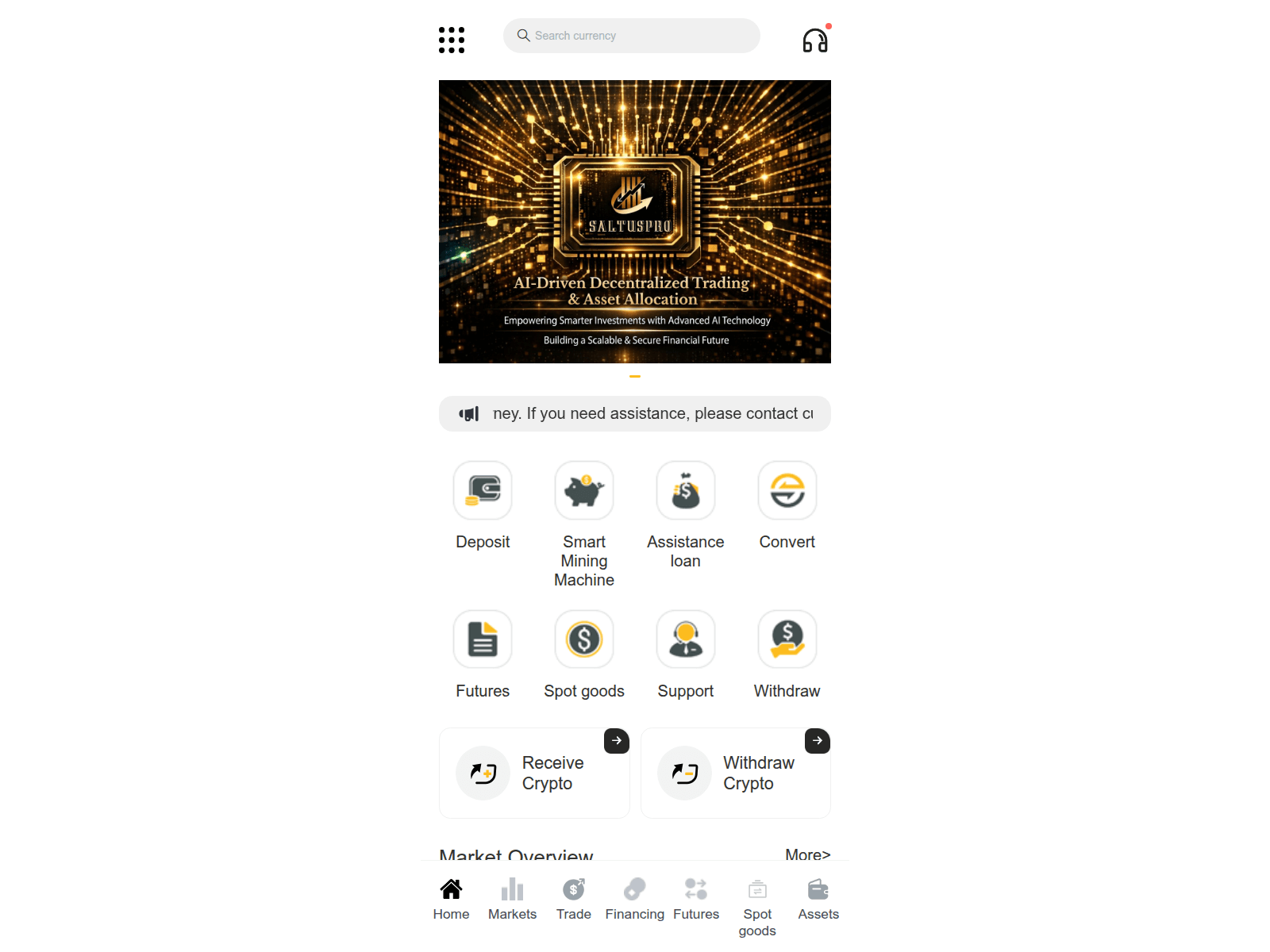 Screenshot of saltuspro.com