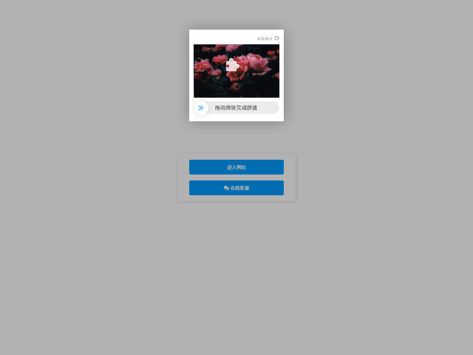 Screenshot of nx7338.com