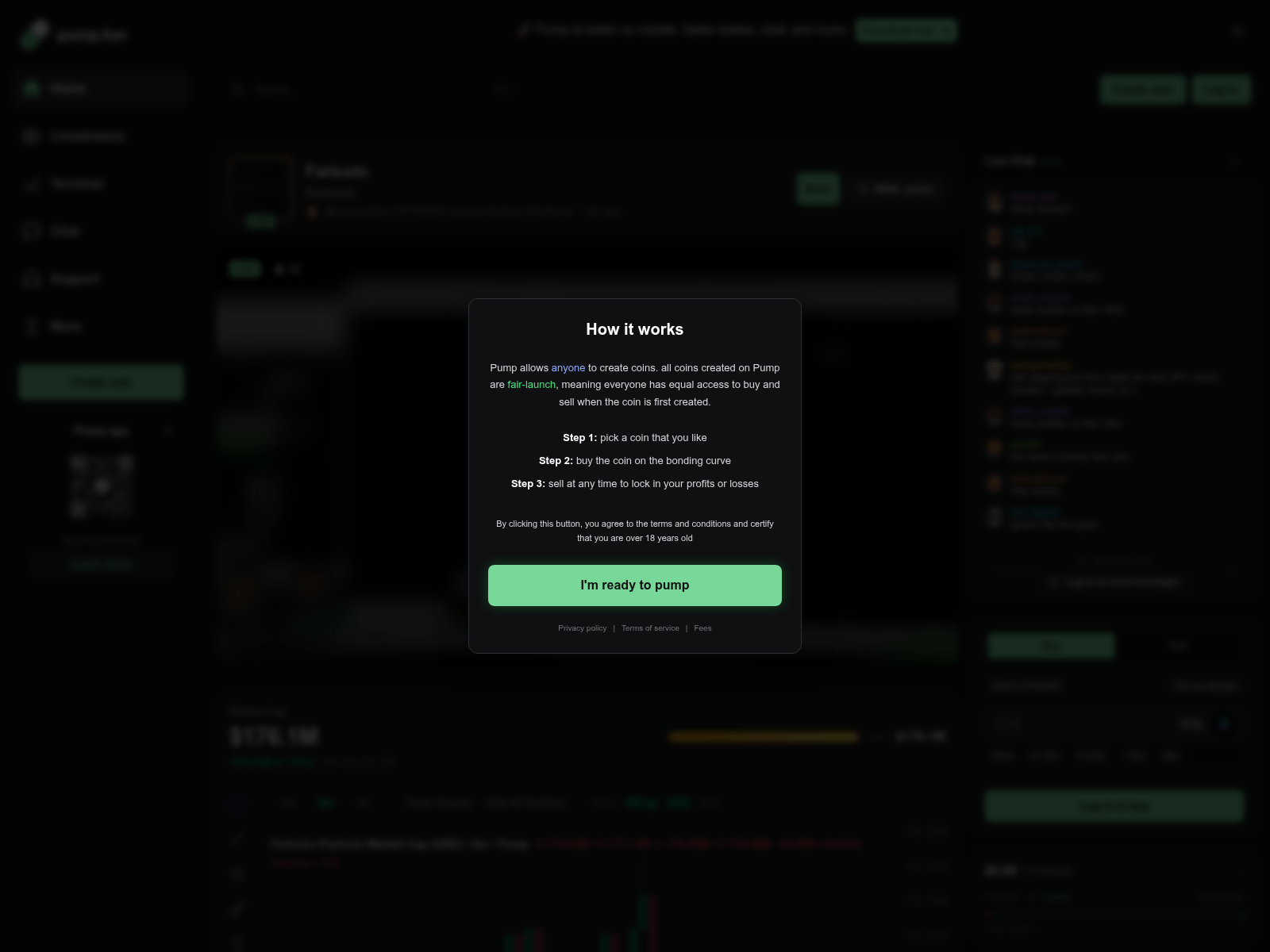 Screenshot of xn--pump-oza.fun