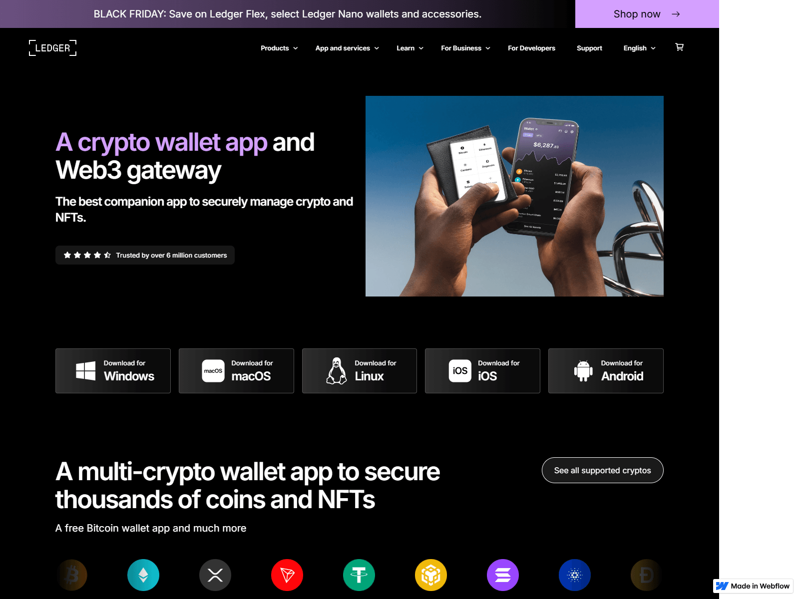 Screenshot of information-ledger-logon.webflow.io