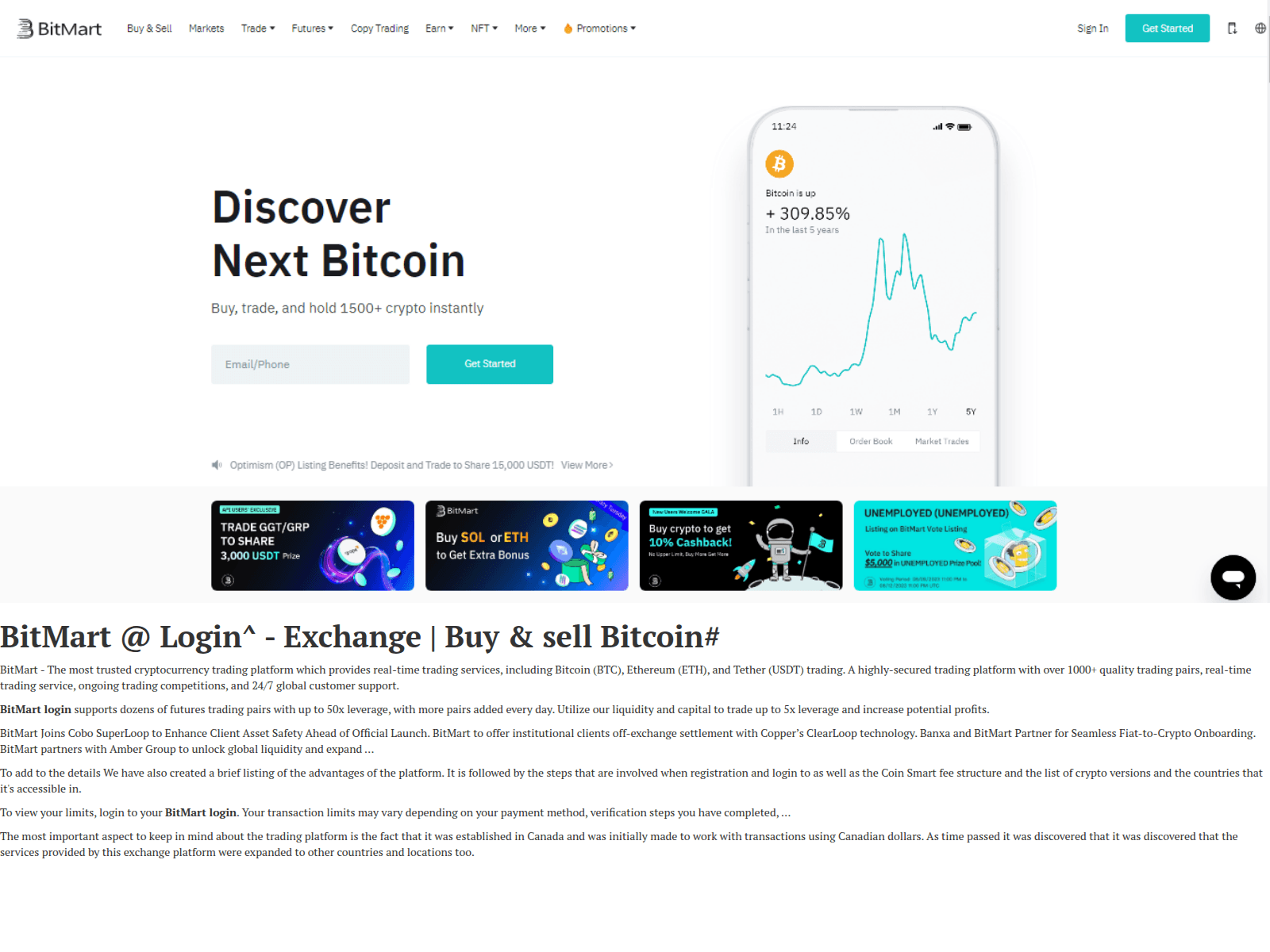Screenshot of birtemrtlogin.webflow.io