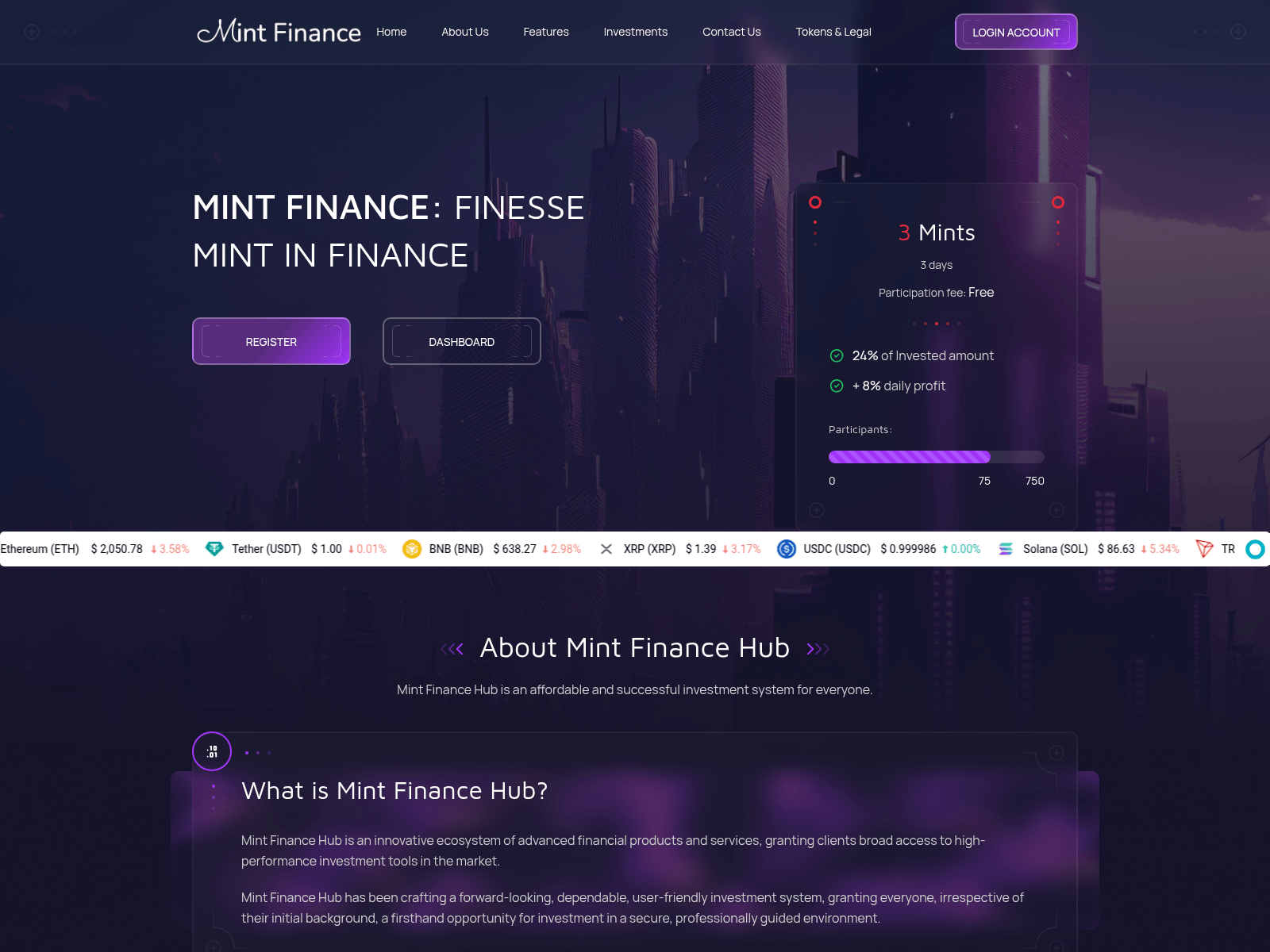 Screenshot of mintfinancehub.com