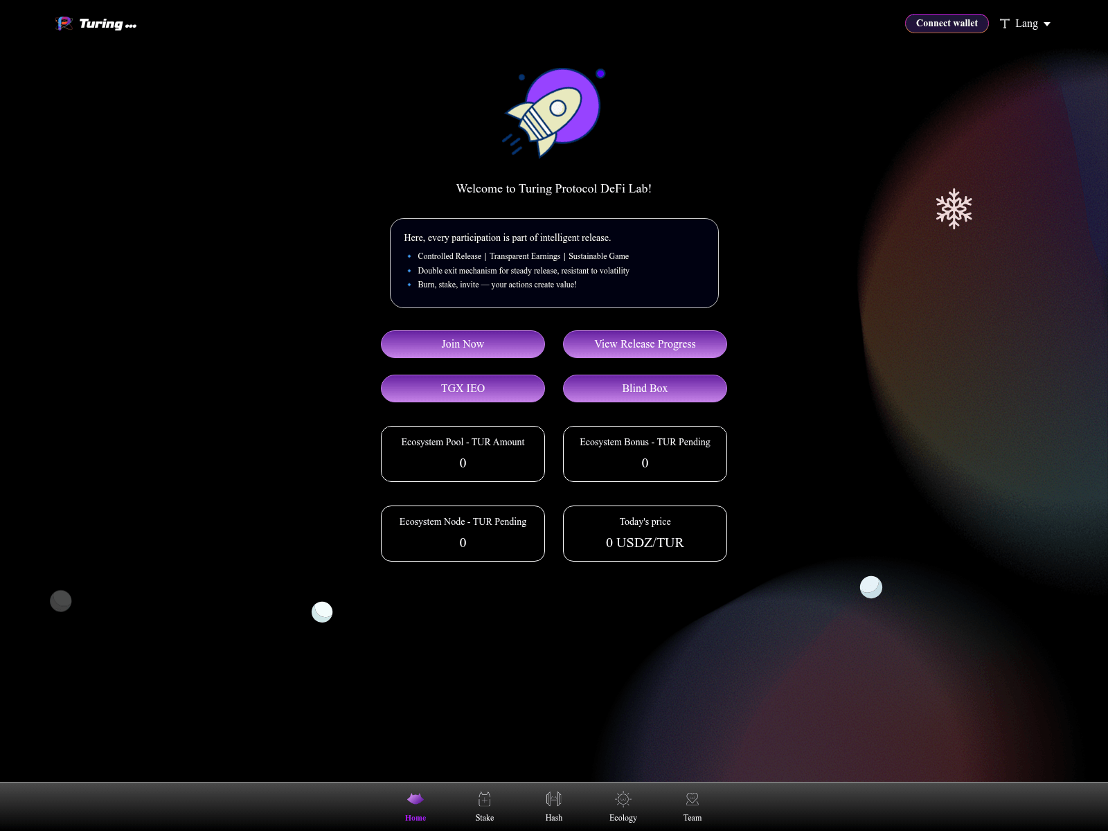 Screenshot of testturing.tur.onl