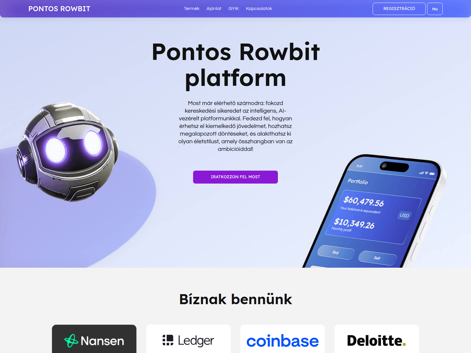 Forensic screenshot of pontos-rowbit.com