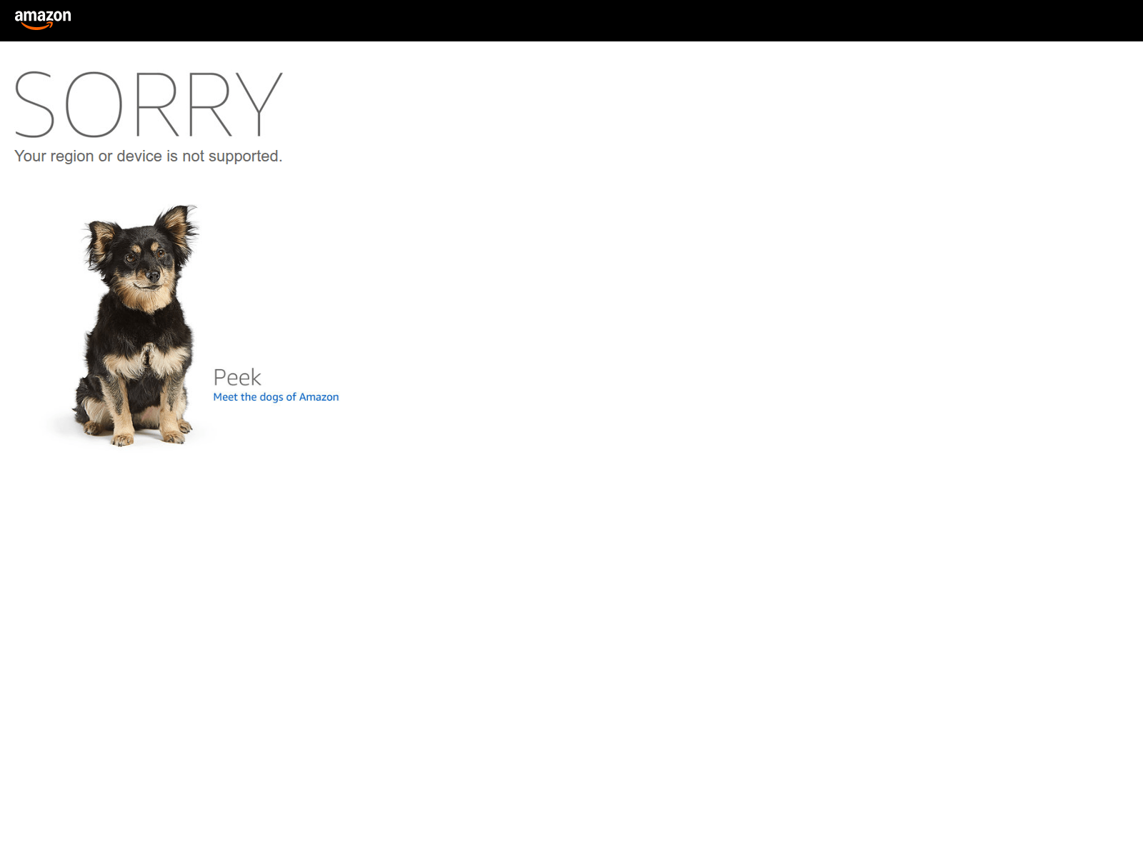 Screenshot of torvex7.vip