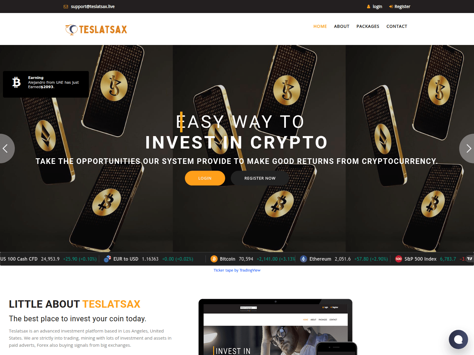 Screenshot of teslatsax.live
