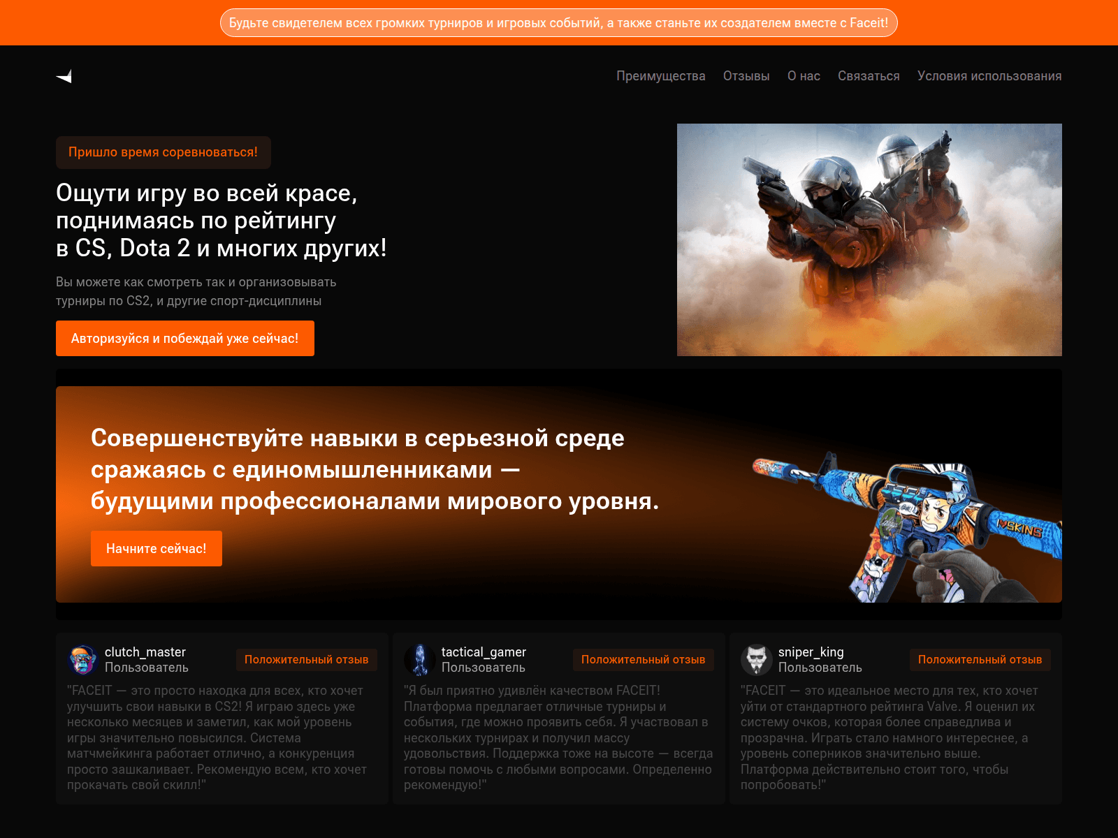 Screenshot of felcelt.com