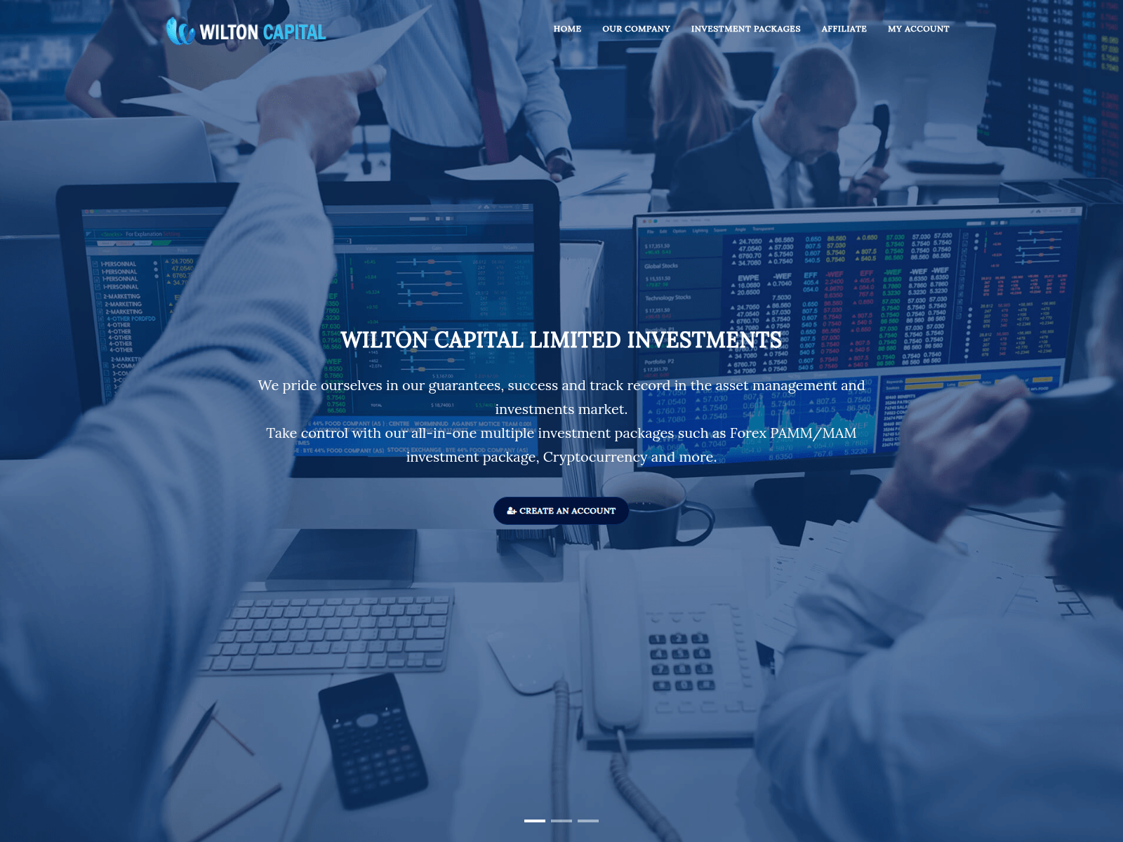 Screenshot of wiltoncapitalltd.com