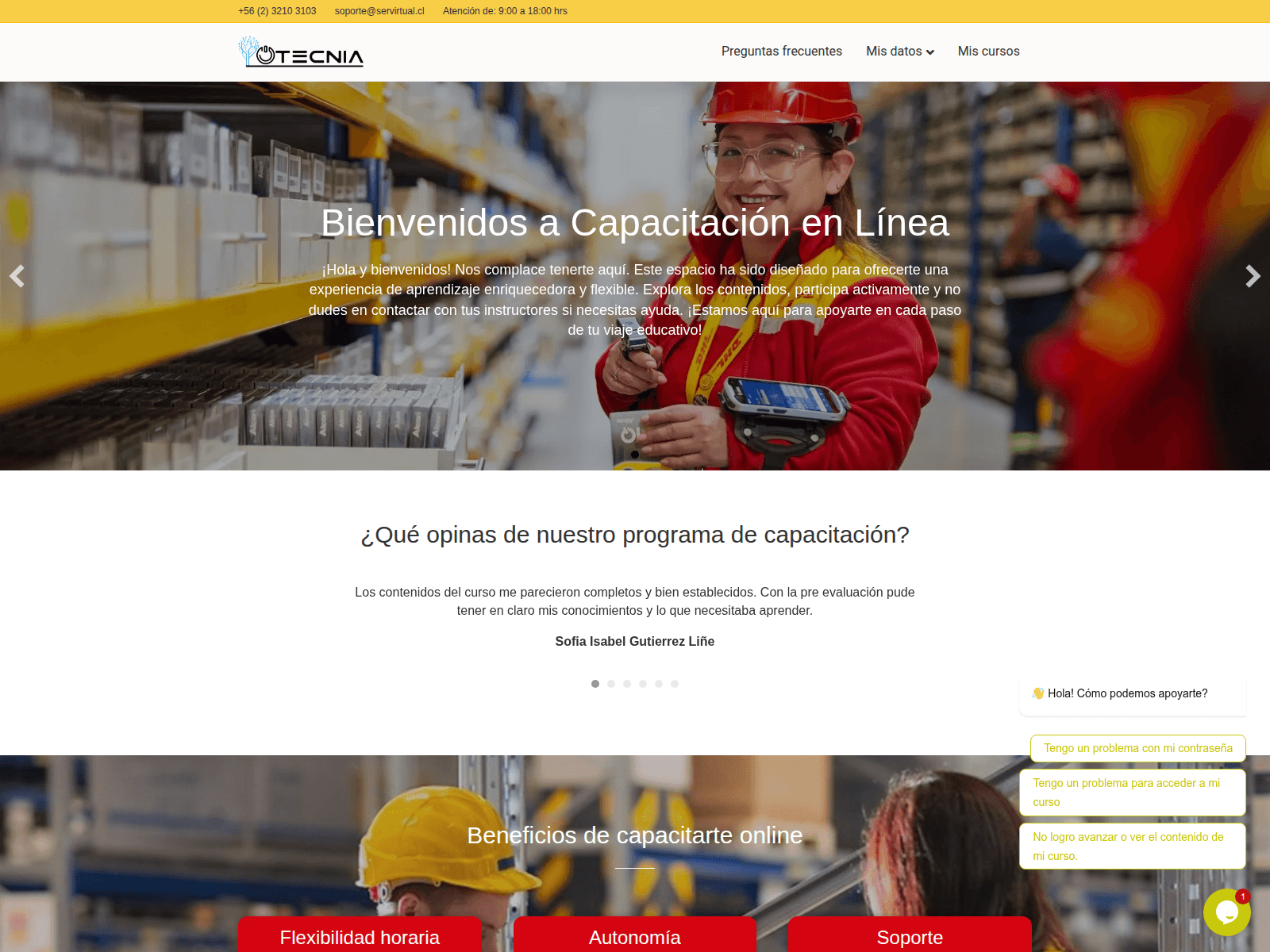 Screenshot of supplychain.servirtual.cl