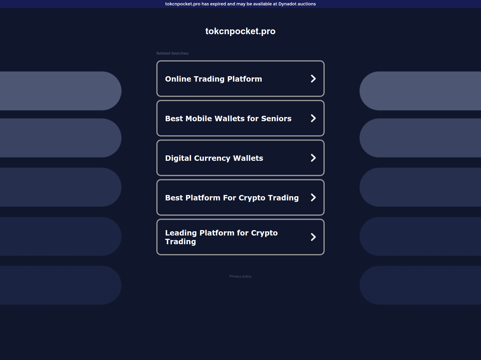 Forensic screenshot of tokcnpocket.pro