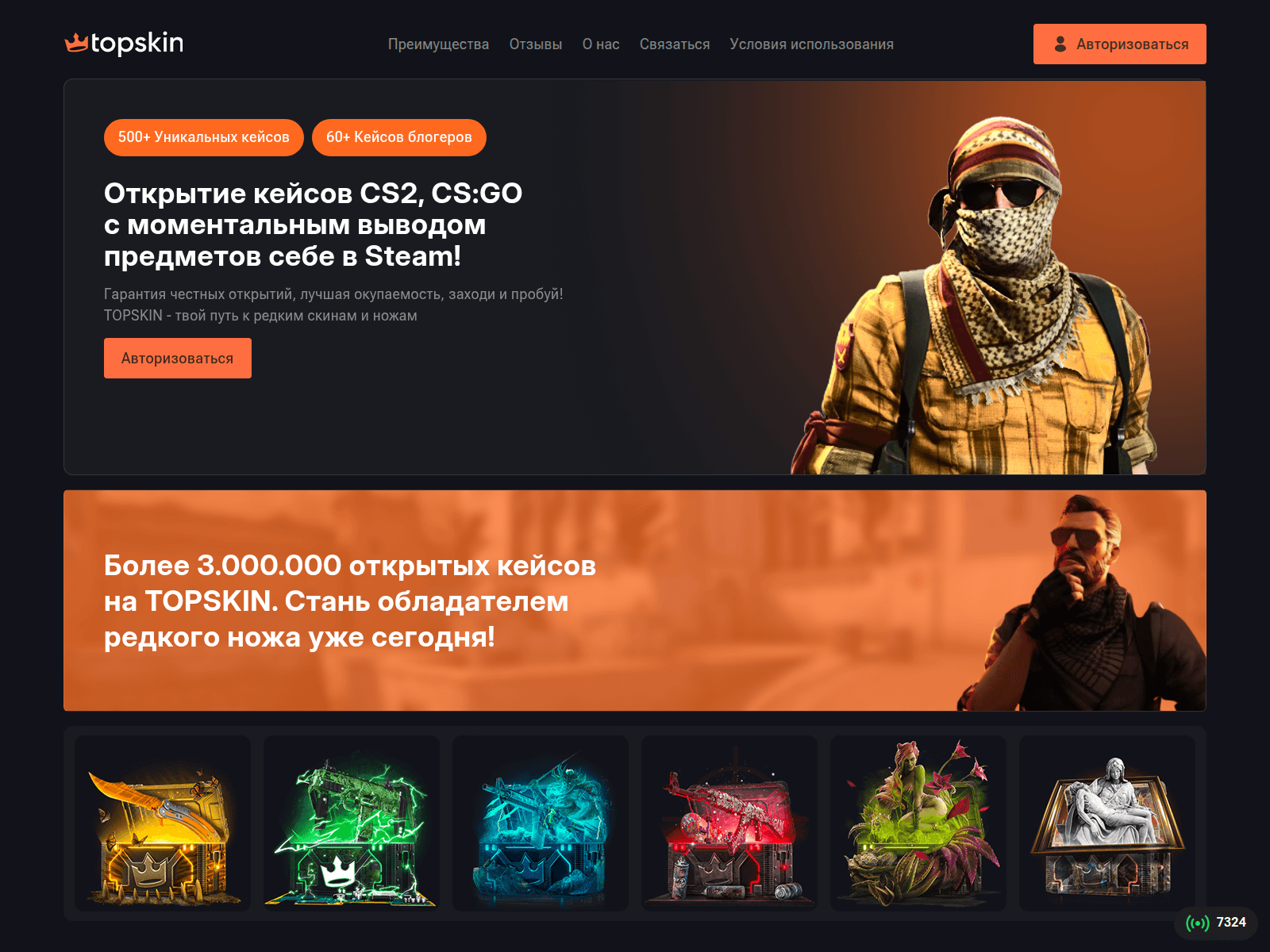 Screenshot of toppskin.com